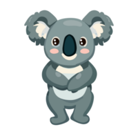 bianca koala icona clipart trasparente sfondo png