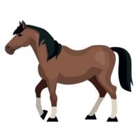 paard icoon clip art transparant achtergrond png