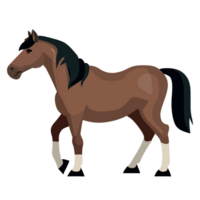 cavallo icona clipart trasparente sfondo png