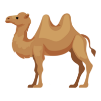 Camel icon clipart transparent background png