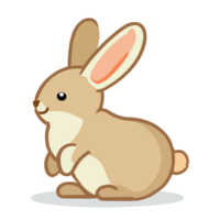konijn icoon clip art transparant achtergrond png