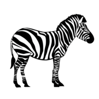 zebra zwart en wit clip art transparant achtergrond png