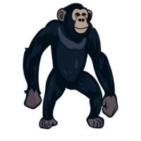 chimpanzé icône clipart transparent Contexte png