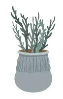 Flower in pot, houseplant for interior decoration vector