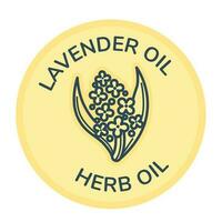 Lavender oil, herb ingredient, organic product vector