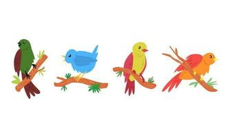 set of several cartoon birds with different colors, poses, types perched on a tree branch. suitable for children's book illustration, print, poster, sticker. cartoon flat vector illustration.