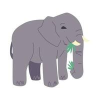 cute elephant is eating grass in cartoon style. side view. isolated on white background. flat vector illustration.