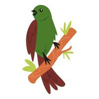verde dibujos animados pájaro encaramado en un árbol rama. adecuado para para niños libro ilustración, imprimir, póster, pegatina. dibujos animados plano vector ilustración.