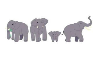 conjunto de linda de elefante en dibujos animados estilo. diferente tamaño, edad, pose. aislado en blanco antecedentes. plano vector ilustración.