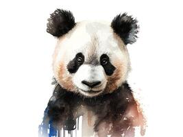 Panda watercolor portrait. photo