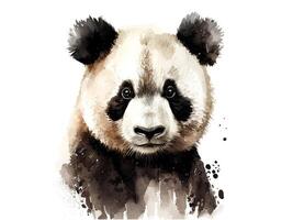 Panda watercolor portrait. photo