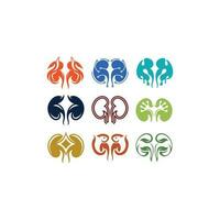 Set Human Kidney Icon Collection Modern Creative Design vector