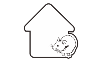 Zimmer Typenschild mit süß Hamster Linie Kunst Thema auf transparent Hintergrund png