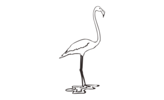 flamant oiseau ligne art sur transparent Contexte png