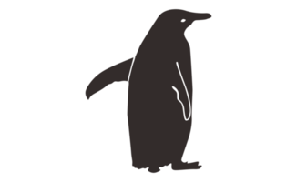 pinguino silhouette su trasparente sfondo png