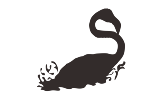 flamingo vogel silhouet Aan transparant achtergrond png