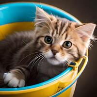 Cute kitten playing inside yellow basket, photo