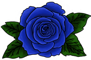 Illustration of a Blue Rose Flower on a Transparent Background png