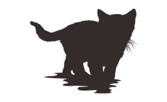 chaton silhouette avec transparent Contexte png