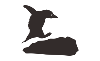 Pinguin Silhouette auf transparent Hintergrund png