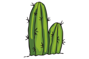 cactus en un transparente antecedentes png