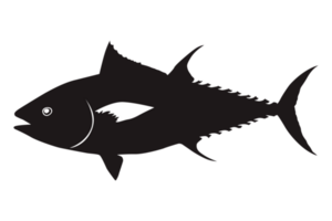 schwarz Thunfisch Silhouette auf transparent Hintergrund png