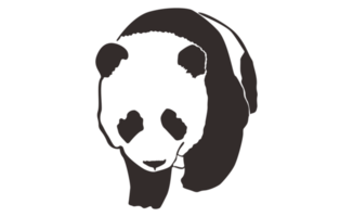 Cute and adorable panda Line Art on a transparent background png