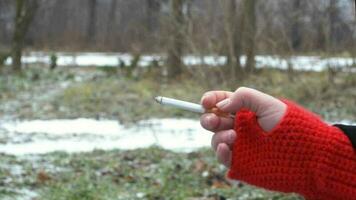 Hand im rot Handschuh halt Verbrennung Zigarette. Zigarette Rauch auf das Natur verschwommen Hintergrund. kalt Wetter. Schnee und Bäume auf das Hintergrund Sanft Fokus. video