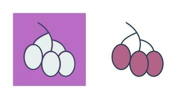 Berries Vector Icon