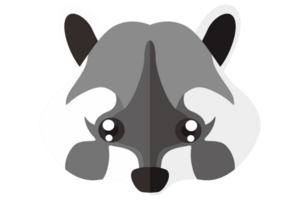 Cute Animal Head - Raccoon With Transparent Background png