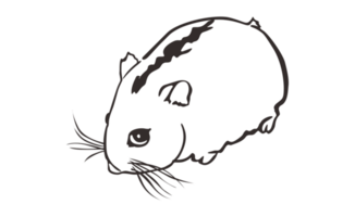 Hamster Linie Kunst mit transparent Hintergrund png