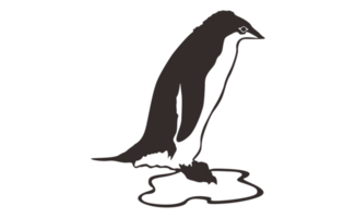 Penguin Line Art on a transparent background png