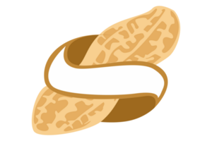 Peanut Logo Icon On Transparent Background png