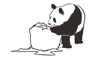 Cute and adorable panda Line Art on a transparent background png