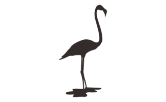 Flamingo Bird Silhouette On Transparent Background png