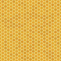 Orange seamless honey combs pattern. Honeycomb texture, hexagonal honeyed comb vector background