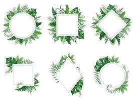 Exotic leaf frame. Spring leaves card, tropical tree frames and vintage floral jungle border isolated vector set