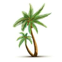 Coconut palm tree isolated on white background vector