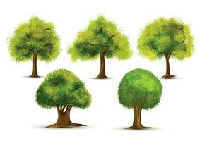 Set of various watercolor trees on white background vector