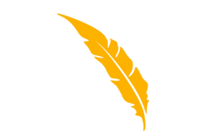 Jaune oiseau plumes ornement avec transparent Contexte png