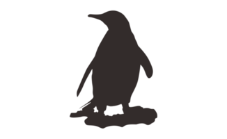 pingüino silueta en transparente antecedentes png