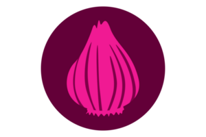 Red Onion Logo Icon On Transparent Background png