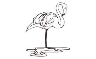 flamenco pájaro línea Arte en transparente antecedentes png