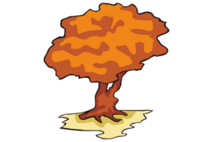 Trees In Autumn - Fall on a Transparent background png