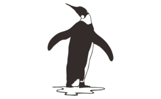 Penguin Line Art on a transparent background png