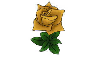 Illustration of a Yellow Rose Flower on a Transparent Background png