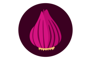 Red Onion Logo Icon On Transparent Background png