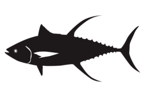 schwarz Thunfisch Silhouette auf transparent Hintergrund png
