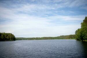 The water surface. Dense forest around the river on a sunny day photo