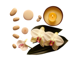 Spa or Natural Treatment Setup of Orchid Flowers, Candle and Stones on Transparent Background. Generative AI. png